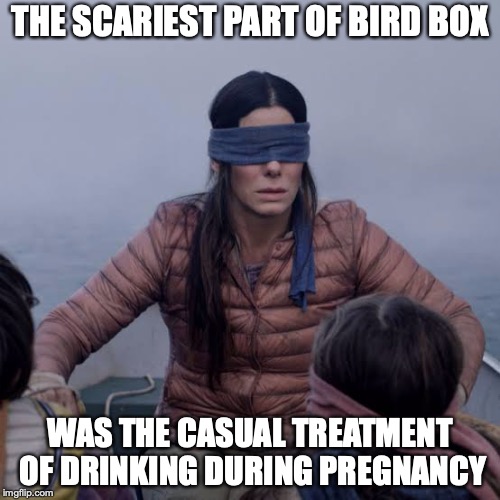 Bird Box | THE SCARIEST PART OF BIRD BOX; WAS THE CASUAL TREATMENT OF DRINKING DURING PREGNANCY | image tagged in birdbox | made w/ Imgflip meme maker