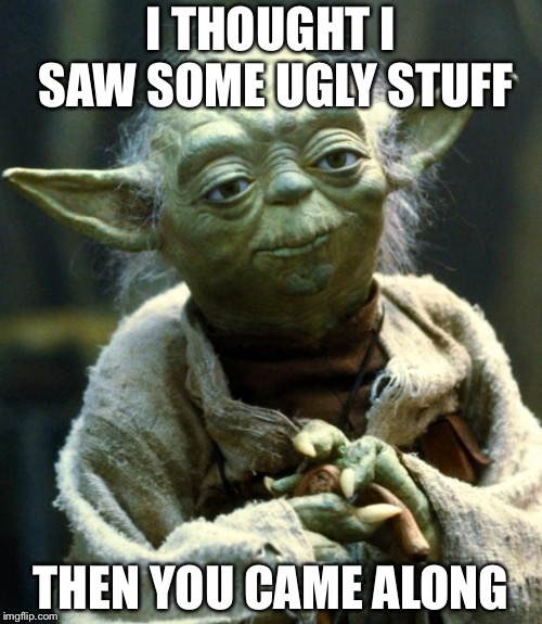 Star Wars Yoda | I THOUGHT I SAW SOME UGLY STUFF; THEN YOU CAME ALONG | image tagged in memes,star wars yoda | made w/ Imgflip meme maker