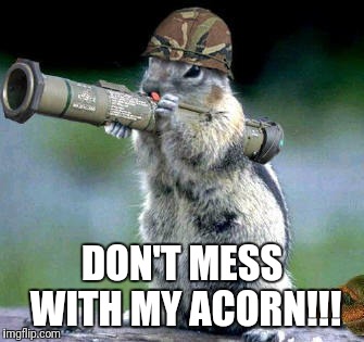 Bazooka Squirrel | DON'T MESS WITH MY ACORN!!! | image tagged in memes,bazooka squirrel | made w/ Imgflip meme maker