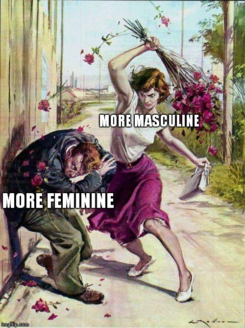 Beaten with Roses | MORE MASCULINE; MORE FEMININE | image tagged in beaten with roses | made w/ Imgflip meme maker