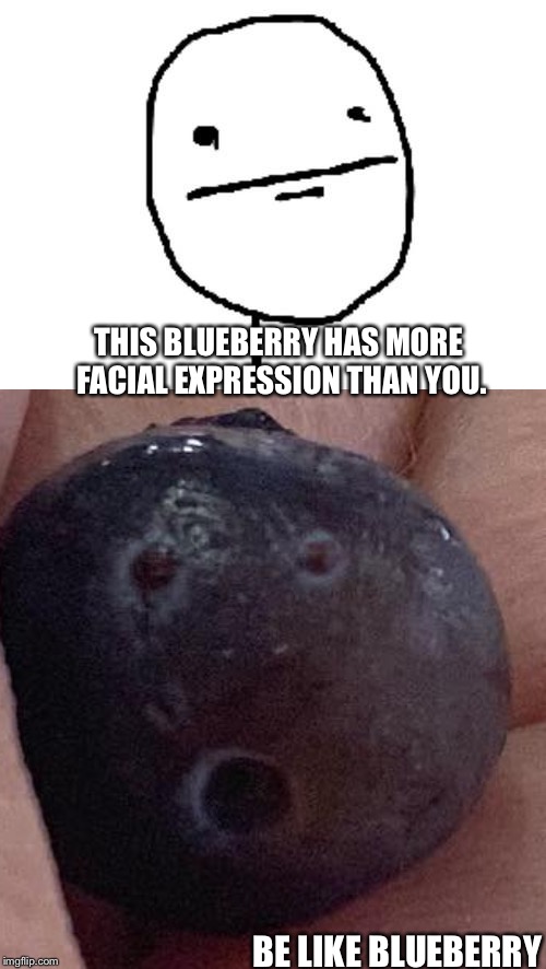  THIS BLUEBERRY HAS MORE FACIAL EXPRESSION THAN YOU. BE LIKE BLUEBERRY | image tagged in poker face | made w/ Imgflip meme maker