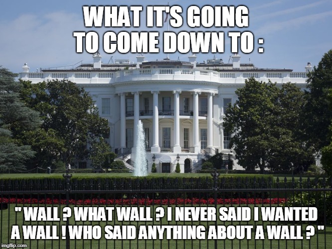 WHAT IT'S GOING TO COME DOWN TO :; " WALL ? WHAT WALL ? I NEVER SAID I WANTED A WALL ! WHO SAID ANYTHING ABOUT A WALL ? " | image tagged in trump,border wall | made w/ Imgflip meme maker
