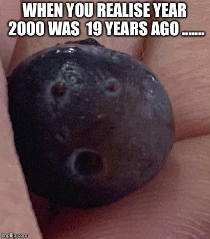 Your face | WHEN YOU REALISE YEAR 2000 WAS  19 YEARS AGO ....... | image tagged in reactions | made w/ Imgflip meme maker