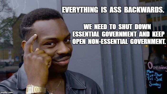 Roll Safe Think About It Meme | EVERYTHING  IS  ASS  BACKWARDS. WE  NEED  TO  SHUT  DOWN  ESSENTIAL  GOVERNMENT  AND  KEEP  OPEN  NON-ESSENTIAL  GOVERNMENT. | image tagged in memes,roll safe think about it | made w/ Imgflip meme maker