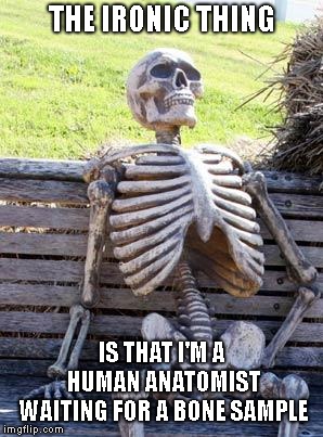 How ironic. | THE IRONIC THING; IS THAT I'M A HUMAN ANATOMIST WAITING FOR A BONE SAMPLE | image tagged in memes,waiting skeleton,anatomist | made w/ Imgflip meme maker