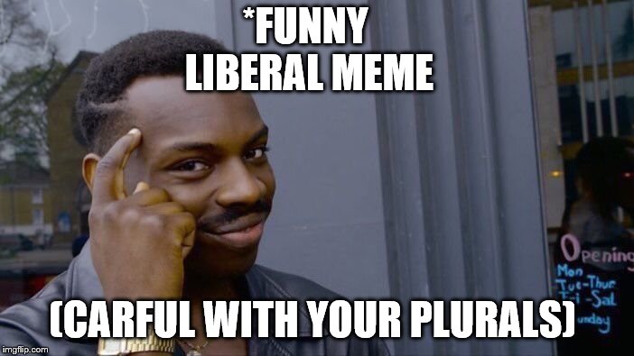 Roll Safe Think About It Meme | *FUNNY LIBERAL MEME (CARFUL WITH YOUR PLURALS) | image tagged in memes,roll safe think about it | made w/ Imgflip meme maker