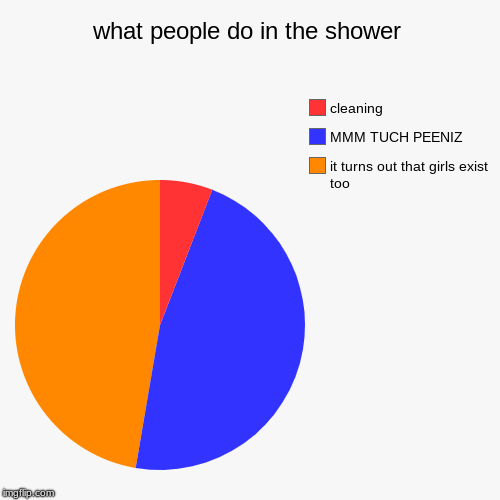 what people do in the shower | it turns out that girls exist too, MMM TUCH PEENIZ, cleaning | image tagged in funny,pie charts | made w/ Imgflip chart maker