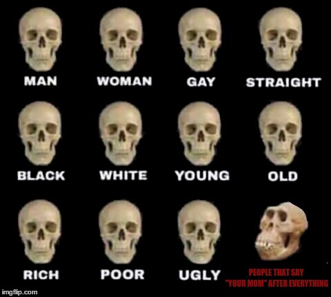 Different Type of Skulls | PEOPLE THAT SAY "YOUR MOM" AFTER EVERYTHING | image tagged in different type of skulls | made w/ Imgflip meme maker