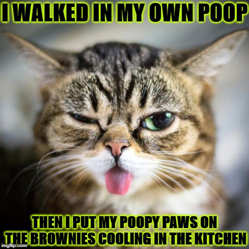 I WALKED IN MY OWN POOP; THEN I PUT MY POOPY PAWS ON THE BROWNIES COOLING IN THE KITCHEN | image tagged in little prick | made w/ Imgflip meme maker