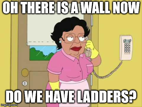Consuela Meme | OH THERE IS A WALL NOW DO WE HAVE LADDERS? | image tagged in memes,consuela | made w/ Imgflip meme maker