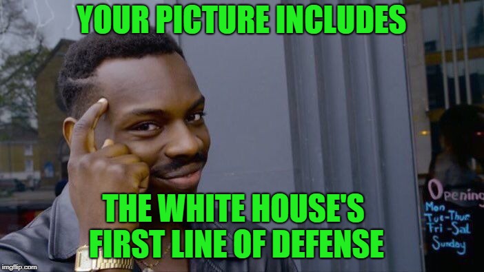 Roll Safe Think About It Meme | YOUR PICTURE INCLUDES THE WHITE HOUSE'S FIRST LINE OF DEFENSE | image tagged in memes,roll safe think about it | made w/ Imgflip meme maker