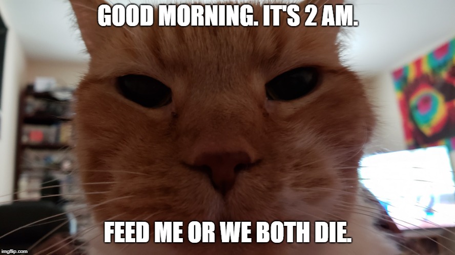 Ello Uman | GOOD MORNING. IT'S 2 AM. FEED ME OR WE BOTH DIE. | image tagged in ello uman | made w/ Imgflip meme maker