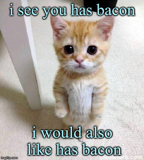 mmmmmm...delicious bacon | i see you has bacon; i would also like has bacon | image tagged in memes,cute cat | made w/ Imgflip meme maker