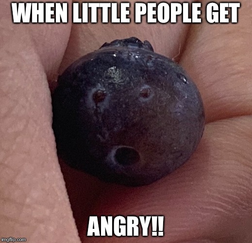 When little people get angry | WHEN LITTLE PEOPLE GET; ANGRY!! | image tagged in cute girl | made w/ Imgflip meme maker