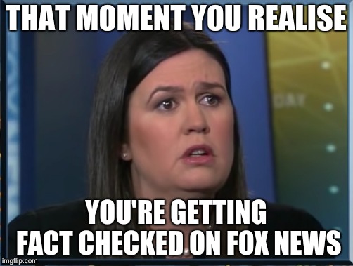 Owned | THAT MOMENT YOU REALISE; YOU'RE GETTING FACT CHECKED ON FOX NEWS | image tagged in owned | made w/ Imgflip meme maker