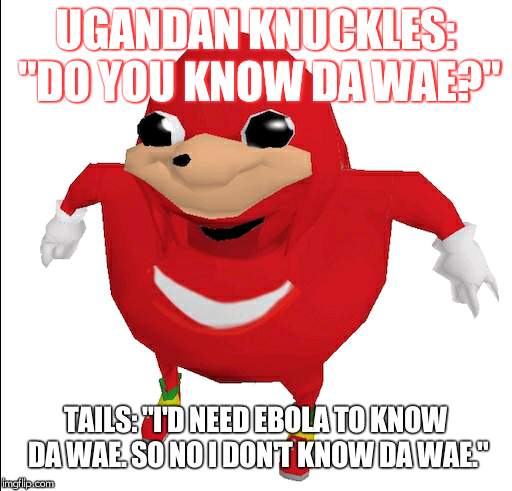 Do you know da wae | UGANDAN KNUCKLES: "DO YOU KNOW DA WAE?"; TAILS: "I'D NEED EBOLA TO KNOW DA WAE. SO NO I DON'T KNOW DA WAE." | image tagged in do you know da wae | made w/ Imgflip meme maker