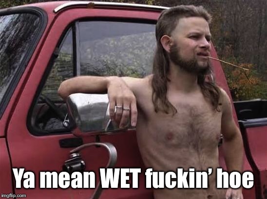 almost politically correct redneck red neck | Ya mean WET f**kin’ hoe | image tagged in almost politically correct redneck red neck | made w/ Imgflip meme maker