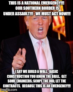 Donald Trump | THIS IS A NATIONAL EMERGENCY!!!  OUR SOUTHERN BORDER IS UNDER ASSAULT!!!   WE MUST ACT NOW!!! I SAY WE BUILD A WALL.  BASIC CONSTRUCTION YOU KNOW THE DRILL.  GET SOME ENGINEERS; SCOPE THE JOB; LET THE CONTRACTS.  BECAUSE THIS IS AN EMERGENCY!!! | image tagged in donald trump | made w/ Imgflip meme maker