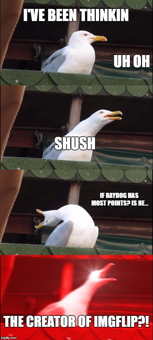 Inhaling Seagull Meme | I'VE BEEN THINKIN; UH OH; SHUSH; IF RAYDOG HAS MOST POINTS? IS HE... THE CREATOR OF IMGFLIP?! | image tagged in memes,inhaling seagull | made w/ Imgflip meme maker