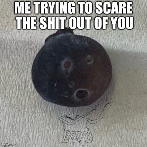 ME trying to scare the shit out of you | ME TRYING TO SCARE THE SHIT OUT OF YOU | image tagged in funny,cute | made w/ Imgflip meme maker