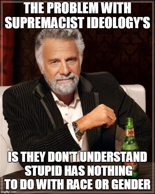 The Most Interesting Man In The World | THE PROBLEM WITH SUPREMACIST IDEOLOGY'S; IS THEY DON'T UNDERSTAND STUPID HAS NOTHING TO DO WITH RACE OR GENDER | image tagged in memes,the most interesting man in the world | made w/ Imgflip meme maker
