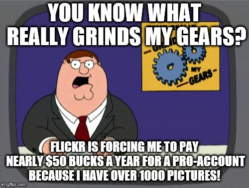 Peter Griffin News; Flickr Sucks | YOU KNOW WHAT REALLY GRINDS MY GEARS? FLICKR IS FORCING ME TO PAY NEARLY $50 BUCKS A YEAR FOR A PRO-ACCOUNT BECAUSE I HAVE OVER 1000 PICTURES! | image tagged in memes,peter griffin news,you know what really grinds my gears,flickr and the crooks who run it | made w/ Imgflip meme maker