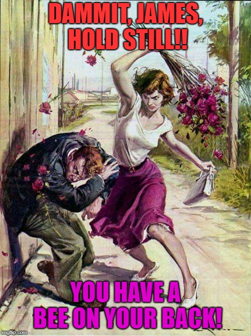 Beaten with Roses | DAMMIT, JAMES, HOLD STILL!! YOU HAVE A BEE ON YOUR BACK! | image tagged in beaten with roses | made w/ Imgflip meme maker