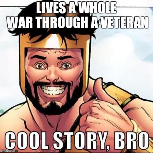Cool Story Bro | LIVES A WHOLE WAR THROUGH A VETERAN | image tagged in memes,cool story bro | made w/ Imgflip meme maker