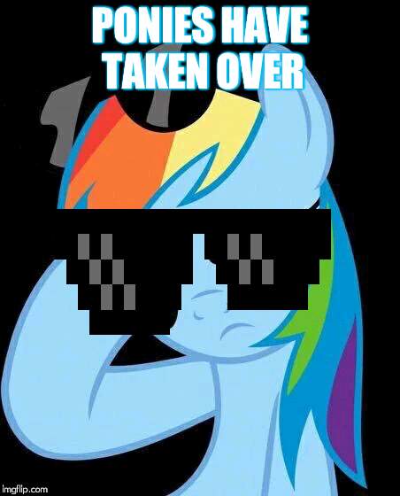 Confused Rainbow Dash | PONIES HAVE TAKEN OVER | image tagged in confused rainbow dash | made w/ Imgflip meme maker