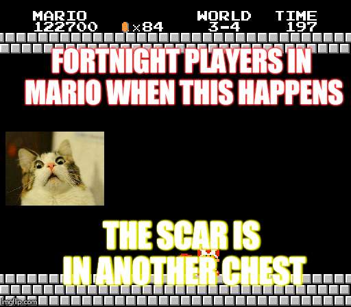 fort night | FORTNIGHT PLAYERS IN MARIO WHEN THIS HAPPENS; THE SCAR IS IN ANOTHER CHEST | image tagged in thank you mario | made w/ Imgflip meme maker