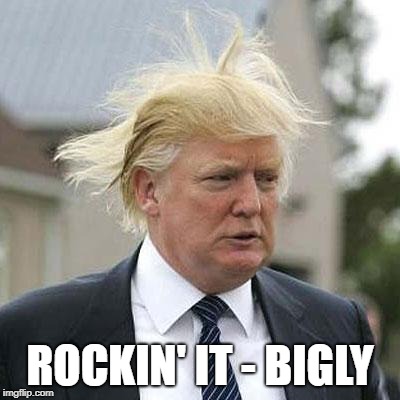 Donald Trump | ROCKIN' IT - BIGLY | image tagged in donald trump | made w/ Imgflip meme maker