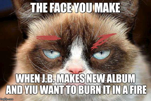 Grumpy Cat Not Amused | THE FACE YOU MAKE; WHEN J.B. MAKES NEW ALBUM AND YIU WANT TO BURN IT IN A FIRE | image tagged in memes,grumpy cat not amused,grumpy cat | made w/ Imgflip meme maker