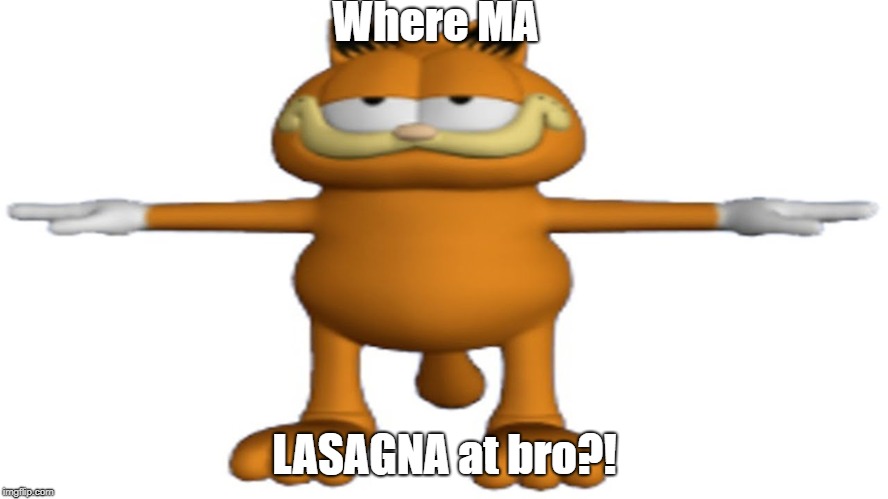 Where MA; LASAGNA at bro?! | image tagged in garfield | made w/ Imgflip meme maker