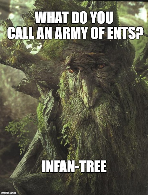 LOTR ENT | WHAT DO YOU CALL AN ARMY OF ENTS? INFAN-TREE | image tagged in lotr ent | made w/ Imgflip meme maker