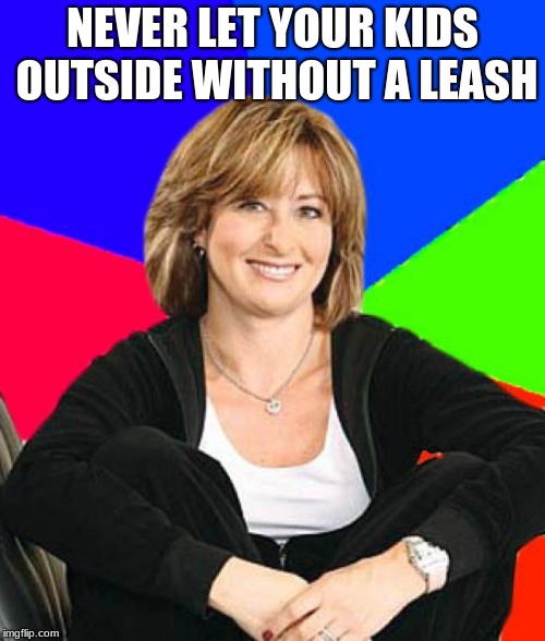 Sheltering Suburban Mom | NEVER LET YOUR KIDS OUTSIDE WITHOUT A LEASH | image tagged in memes,sheltering suburban mom | made w/ Imgflip meme maker