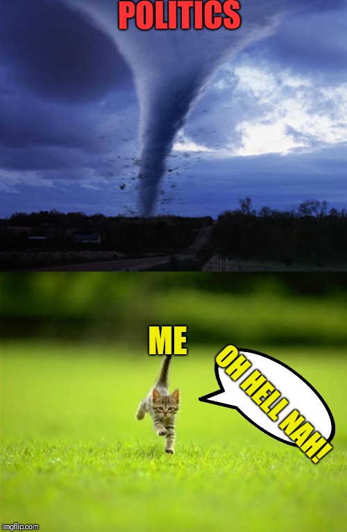 POLITICS; ME; OH HELL NAH! | image tagged in running cat,tornado | made w/ Imgflip meme maker