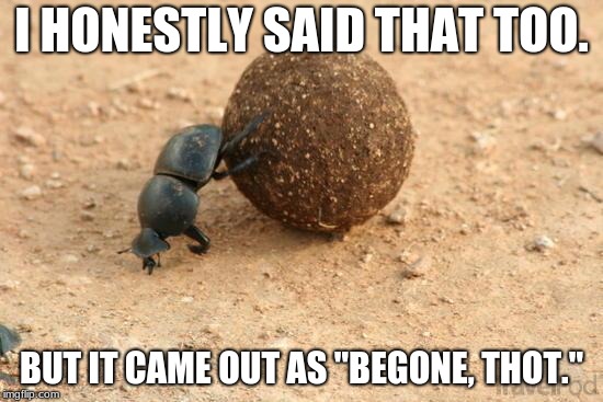 Hard Working Dung Beetle | I HONESTLY SAID THAT TOO. BUT IT CAME OUT AS "BEGONE, THOT." | image tagged in hard working dung beetle | made w/ Imgflip meme maker