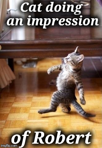 Cool Cat Stroll Meme | Cat doing an impression; of Robert | image tagged in memes,cool cat stroll | made w/ Imgflip meme maker