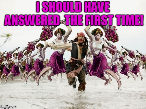 Jack Sparrow Beaten With Roses | I SHOULD HAVE ANSWERED  THE FIRST TIME! | image tagged in jack sparrow beaten with roses | made w/ Imgflip meme maker