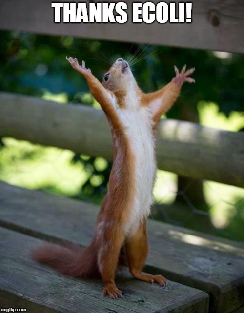 Happy Squirrel | THANKS ECOLI! | image tagged in happy squirrel | made w/ Imgflip meme maker