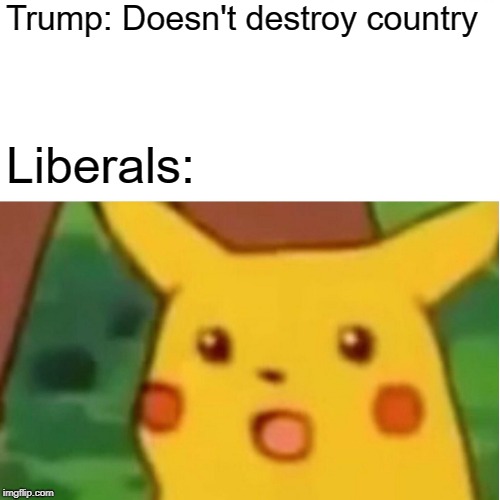Surprised Pikachu Meme | Trump: Doesn't destroy country Liberals: | image tagged in memes,surprised pikachu | made w/ Imgflip meme maker