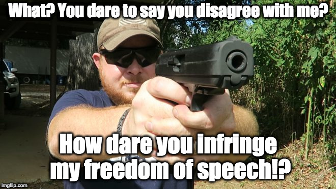 Freedom of speech | What? You dare to say you disagree with me? How dare you infringe my freedom of speech!? | image tagged in look into a gun | made w/ Imgflip meme maker