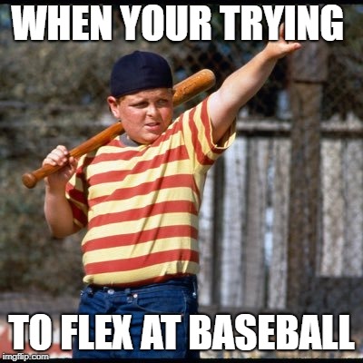 call your shot sandlot | WHEN YOUR TRYING; TO FLEX AT BASEBALL | image tagged in call your shot sandlot | made w/ Imgflip meme maker