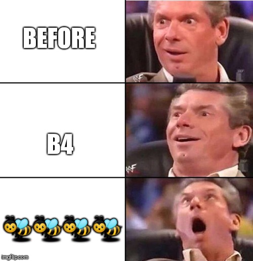 wwe | BEFORE; B4; 🐝🐝🐝🐝 | image tagged in wwe | made w/ Imgflip meme maker