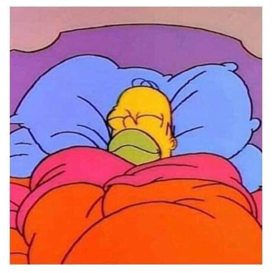 High Quality sleeping homer Blank Meme Template