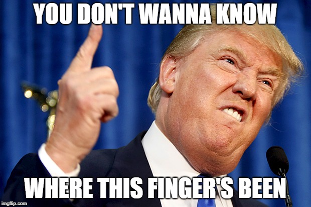 Donald Trump | YOU DON'T WANNA KNOW; WHERE THIS FINGER'S BEEN | image tagged in donald trump | made w/ Imgflip meme maker