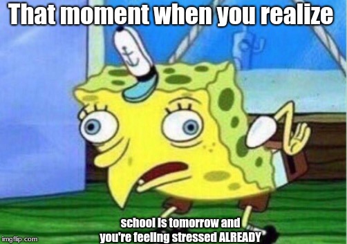 Mocking Spongebob | That moment when you realize; school is tomorrow and you're feeling stressed ALREADY | image tagged in memes,mocking spongebob | made w/ Imgflip meme maker