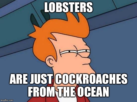 Futurama Fry | LOBSTERS; ARE JUST COCKROACHES FROM THE OCEAN | image tagged in memes,futurama fry | made w/ Imgflip meme maker