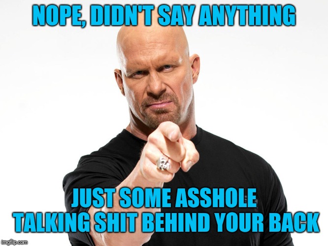 Steve Austin | NOPE, DIDN'T SAY ANYTHING JUST SOME ASSHOLE TALKING SHIT BEHIND YOUR BACK | image tagged in steve austin | made w/ Imgflip meme maker