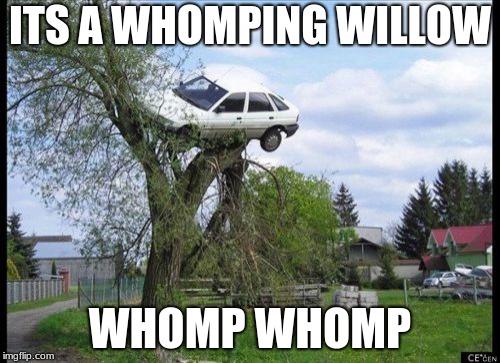 Whomp whomp | ITS A WHOMPING WILLOW; WHOMP WHOMP | image tagged in memes,secure parking | made w/ Imgflip meme maker